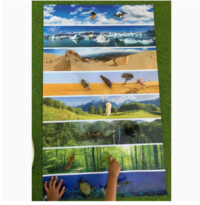 Shop Primary Image